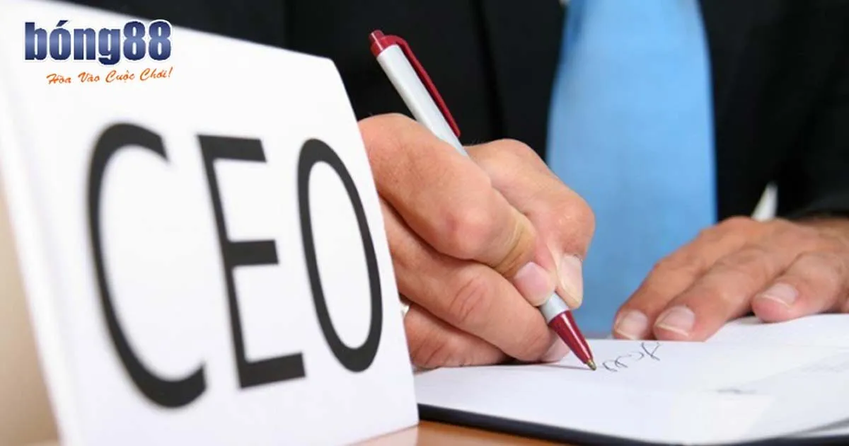 Đôi điều về tác giả Bong88 